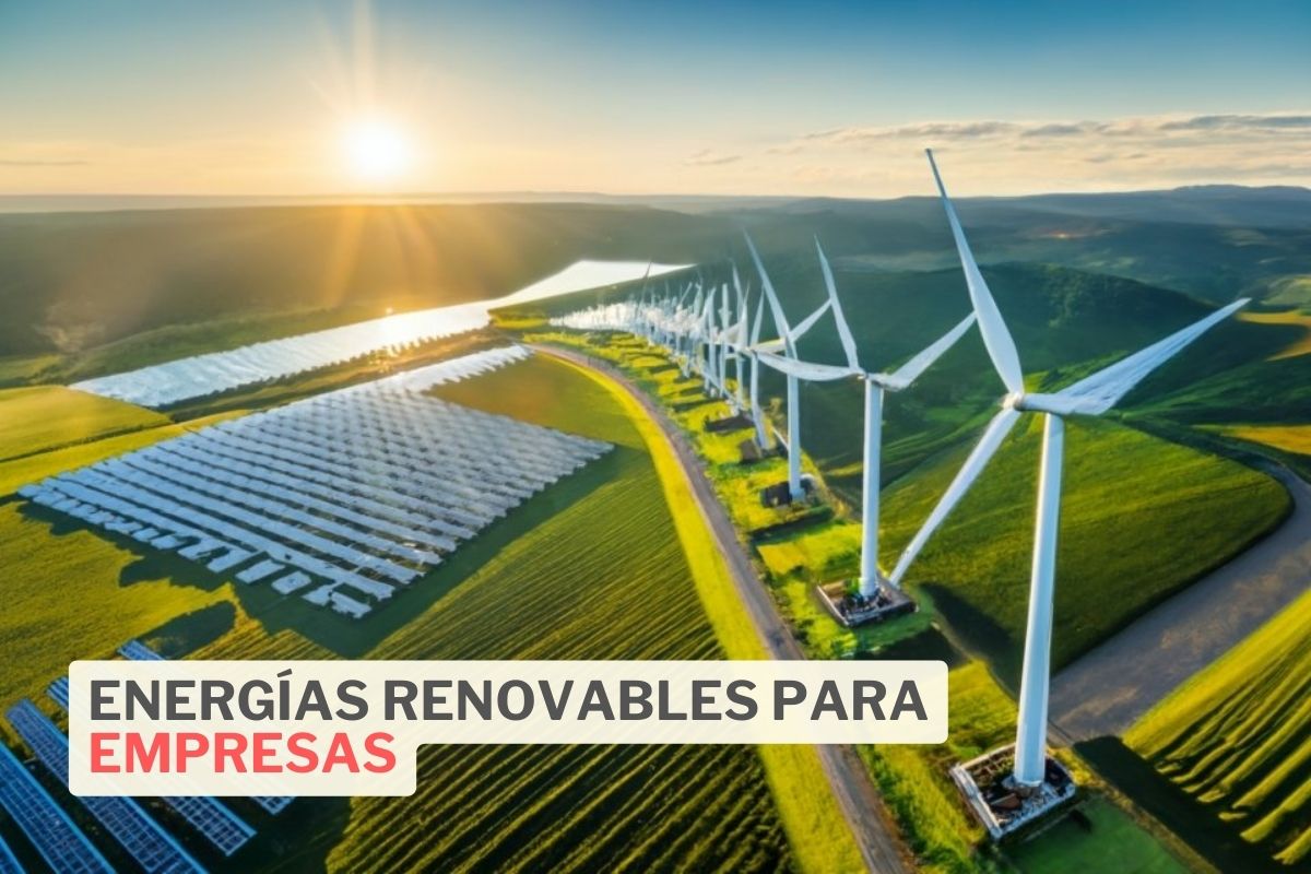 Energías renovables para empresas: ¿cuál es la mejor?